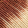 Kanekalon Crochet Twist Synthetic Hair Braid Extension