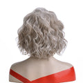 Synthetic Hair Wig Silver Gray Short Curly