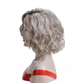Synthetic Hair Wig Silver Gray Short Curly