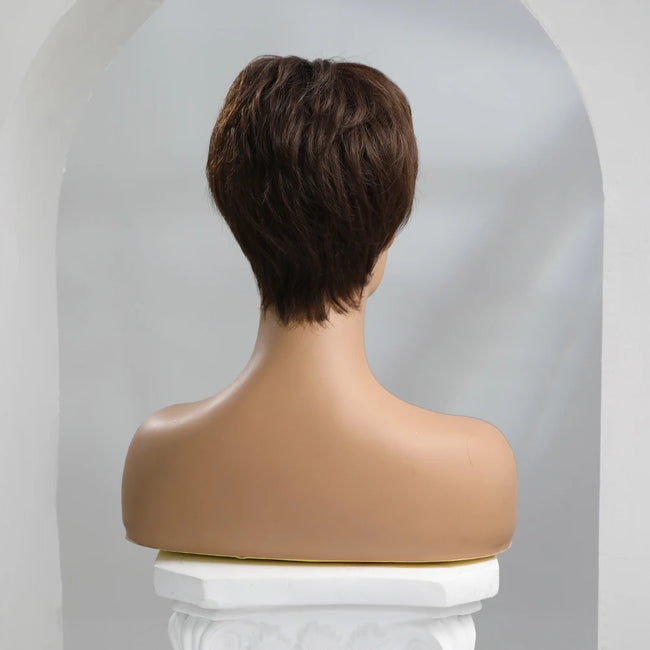 Brown Straight Human Hair Wig With Bangs